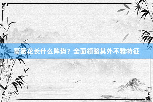 蔷薇花长什么阵势？全面领略其外不雅特征